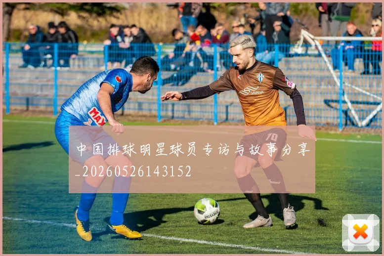 中国排球明星球员专访与故事分享_20260526143152